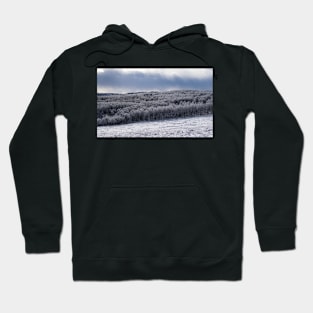 Foothills after Fresh Snow. Hoodie